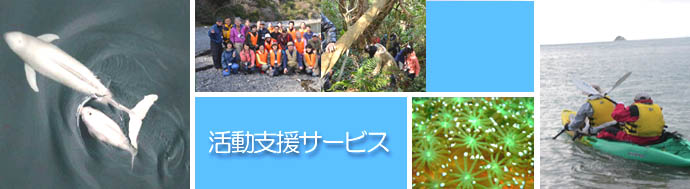 活動支援